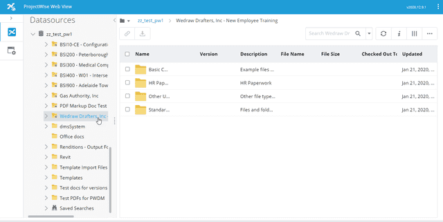 ProjectWise Web View with a datasource tree and project document list in the browser